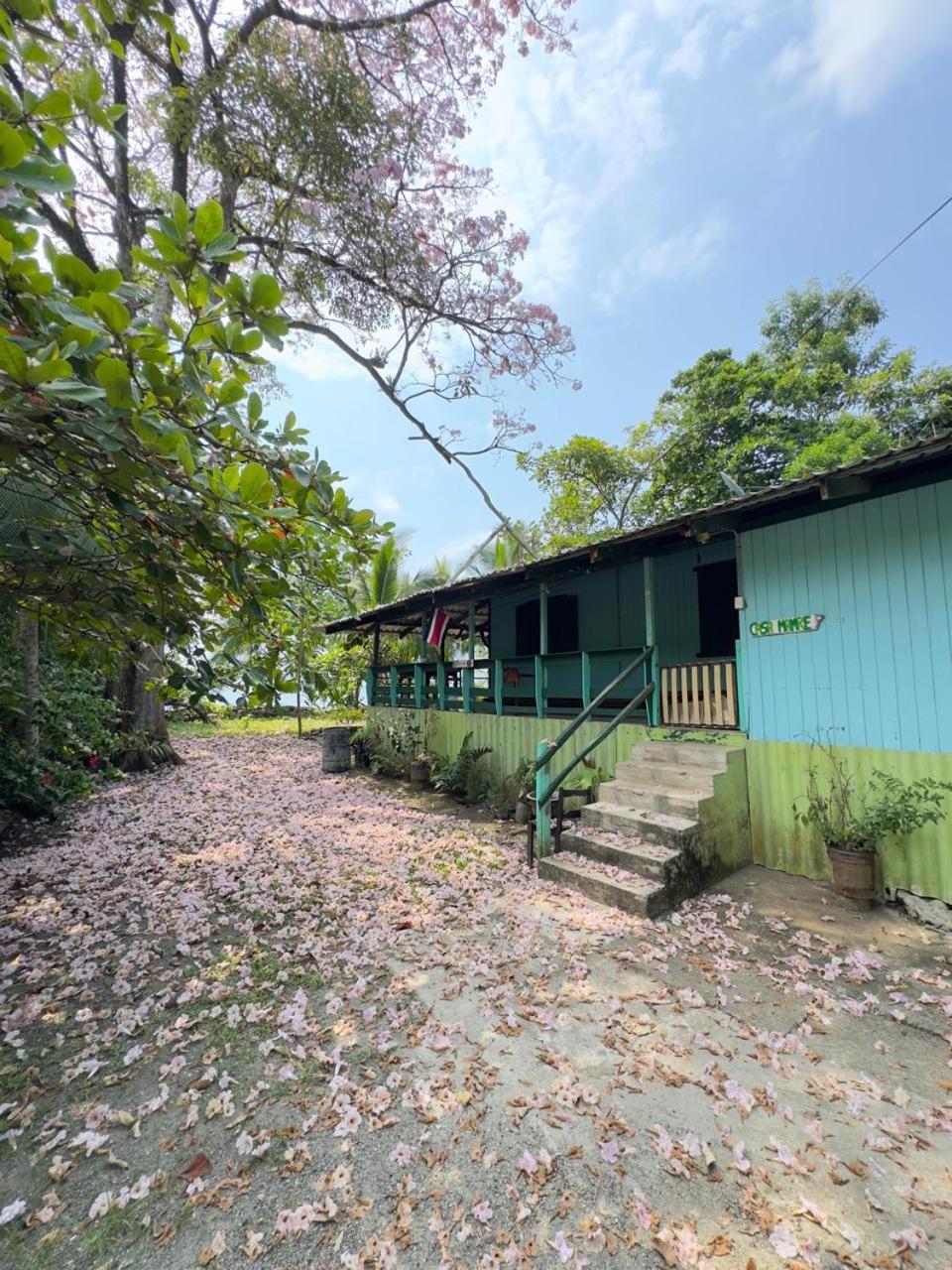 Casa Mamre Vandrerhjem Cahuita Eksteriør bilde